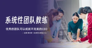 系统性团队教练，彼得霍金斯