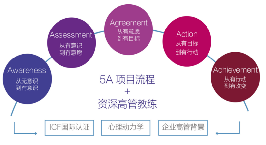 群智5A高管教练项目流程，确保领导者的行为改变