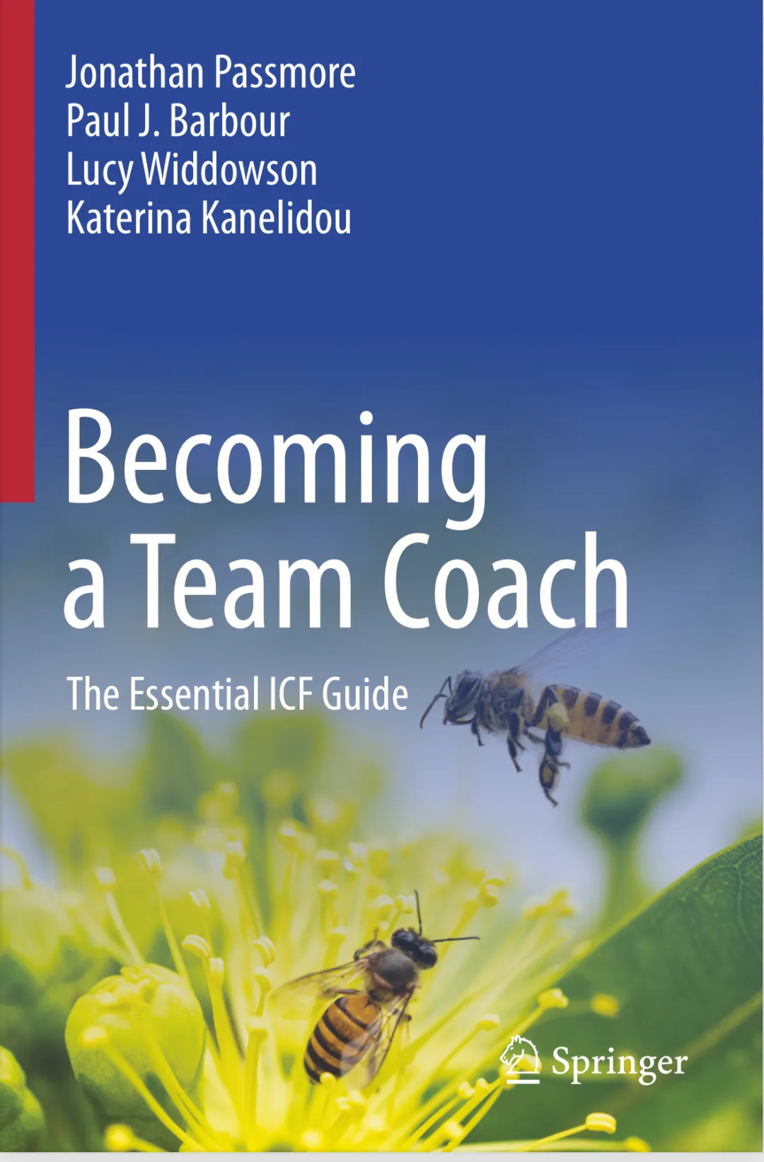 becoming a team coach
