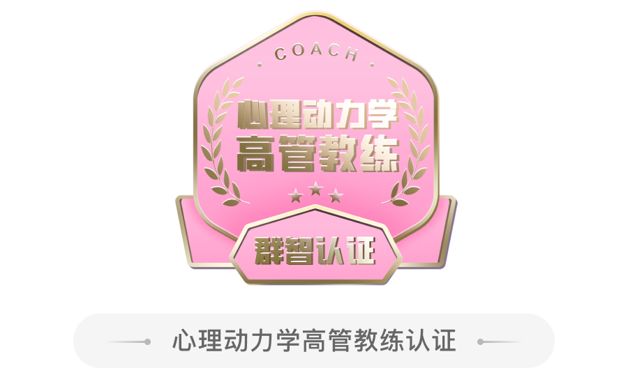 STC 系统性团队教练