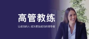 群智高管教练