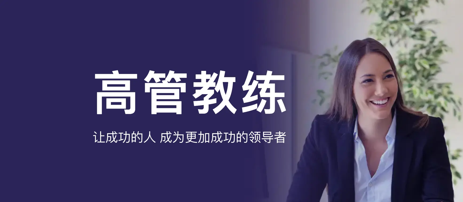 群智高管教练